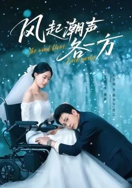 风起潮声各一方（84集）祁圣翰＆王艺舒 (2026)-米创网