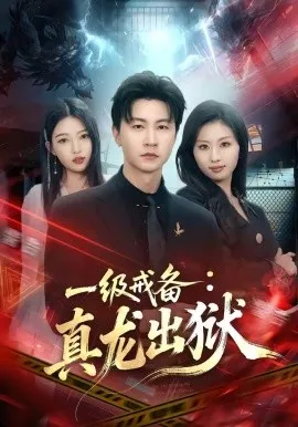 一级戒备：真龙出狱（73集）王鹏＆千文 (2026)-米创网