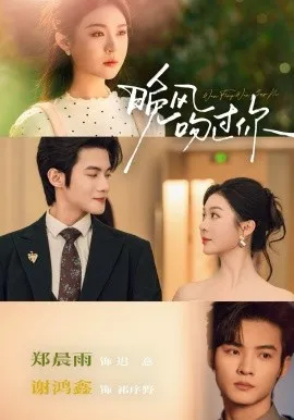 晚风吻过你（80集）谢鸿鑫＆郑晨雨 (2026)-米创网