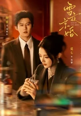 雪夜京婚（84集）舒童＆觅七 (2026)-米创网