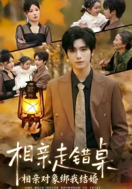 相亲走错桌：相亲对象绑我结婚（81集）夏锦沫＆王也 (2026)-米创网