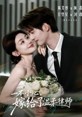 一不小心，嫁给了温柔律师（65集）陈芳彤＆甘望星 (2026)-米创网