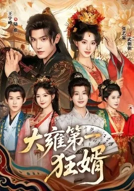 大雍第一狂婿（90集）王宇峰＆张艺霖 (2026)-米创网