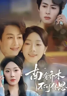 南有乔木，不可休思（68集）邢航铭&孔祥东 (2026)-米创网