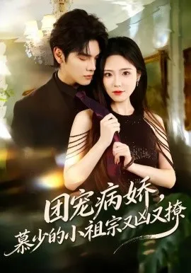 团宠病娇，慕少的小祖宗又凶又撩（80集）启航＆文雨彤 (2026)-米创网