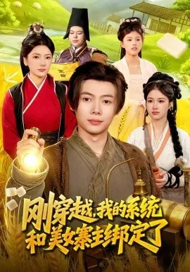刚穿越，我的系统和美女寨主绑定了（98集）王镱深&姜云宁 (2026)-米创网