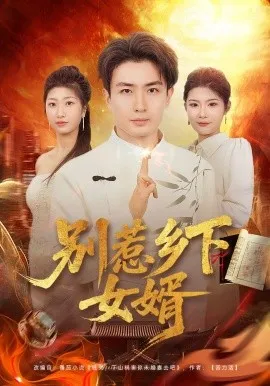 别惹乡下女婿（80集）周泽壤&韩宇婷 (2026)-米创网