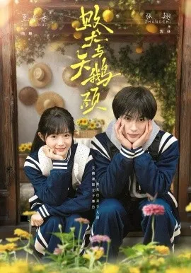 败犬与天鹅颈（71集）张翅＆至春禾 (2026)-米创网