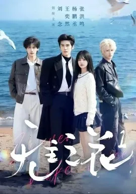 无主之花1（71集）王奕然＆刘念＆杨鹏丞＆张洪鸣 (2026)-米创网