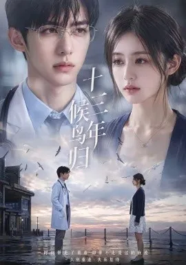 十三年，候鸟归（40集）AI短剧 (2026)-米创网