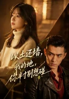 以土还墙，我的地，你半寸别想碰（56集）AI短剧 (2026)-米创网