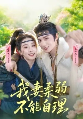 我妻柔弱不能自理（72集）王培廷&王燕飞 (2026)-米创网