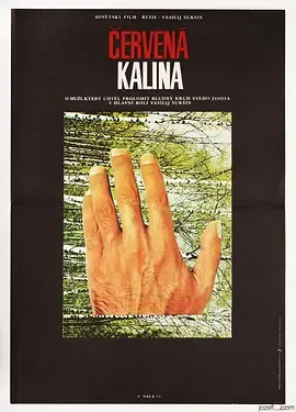 红莓 (1974) 丨利季娅·费多谢耶娃-舒克申娜 / 瓦西里·舒克申主演丨剧情丨又名: 红梅花-58创客