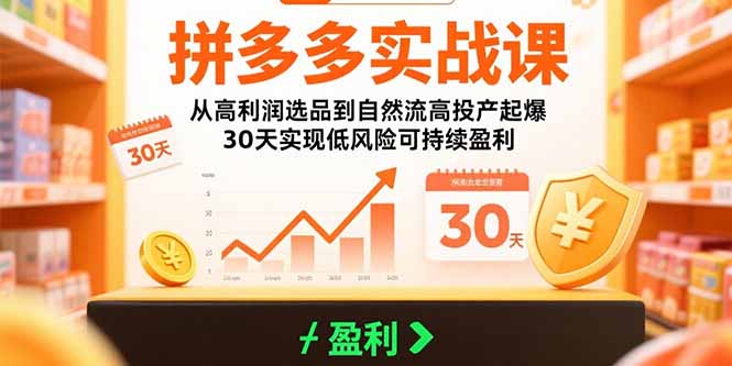 拼多多实战课：从高利润选品到自然流高投产起爆 30天实现低风险可持续盈利-米创网