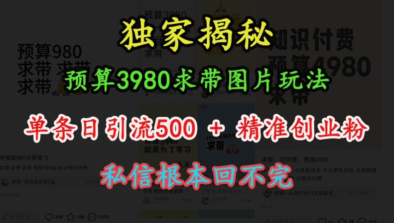 预算3980求带 图片玩法，单条日引流500+精准创业粉，私信根本回不完-米创网