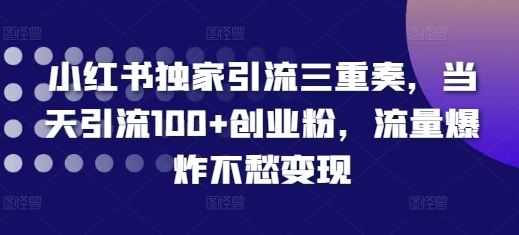 小红书独家引流三重奏，当天引流100+创业粉，流量爆炸不愁变现【揭秘】-米创网