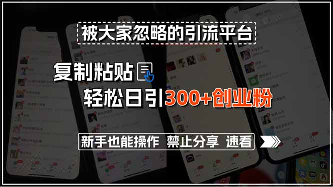 被大家忽略的引流平台，复制粘贴轻松日引300+创业粉，新手也能操作，禁…-米创网