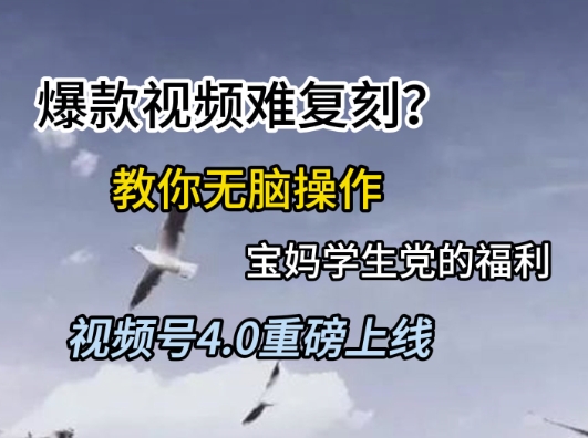 视频号4.0重磅上线，爆款视频难复刻？教你无脑操作宝妈学生党的福利【揭秘】-米创网