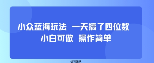 小众蓝海玩法 一天搞了四位数 小白可做 操作简单-米创网