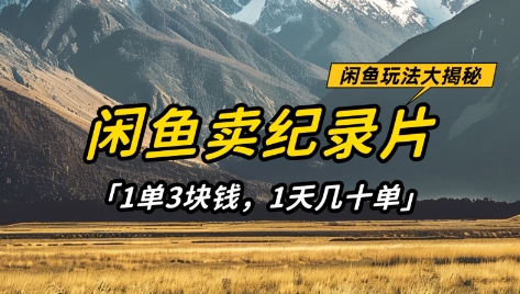 闲鱼卖纪录片1单3块钱，1天几十单，项目稳定有潜力-米创网
