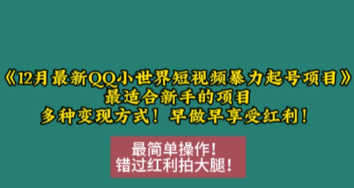12月最新QQ小世界短视频暴力起号项目，最适合新手的项目，多种变现方式-米创网