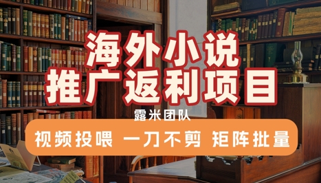 海外小说推广返利项目，视频投喂， 一刀不剪，矩阵批量-米创网