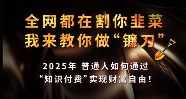 全网都在割你韭菜，我来教你做镰刀，2025年普通人如何通过 知识付费 实现财F自由【揭秘】-米创网