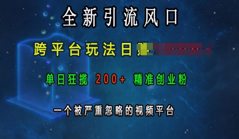 全新引流风口，跨平台玩法日入上k，单日狂揽200+精准创业粉，一个被严重忽略的视频平台-米创网