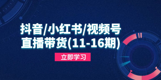 抖音/小红书/视频号/直播带货(11-16期-米创网