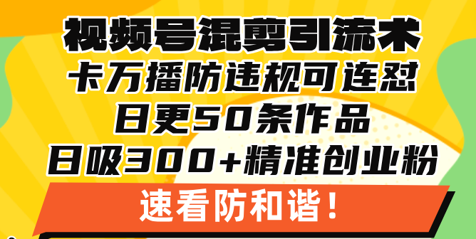 视频号混剪引流技术，500万播放引流17000创业粉，操作简单当天学会-米创网