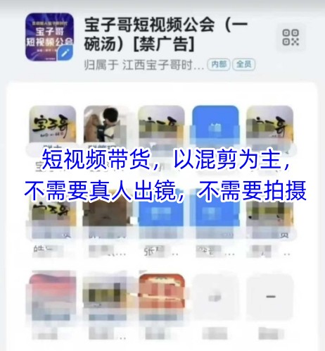 宝子哥头部团队短视频带货，以混剪为主，不需要真人出镜，不需要拍摄【更新8月】-米创网