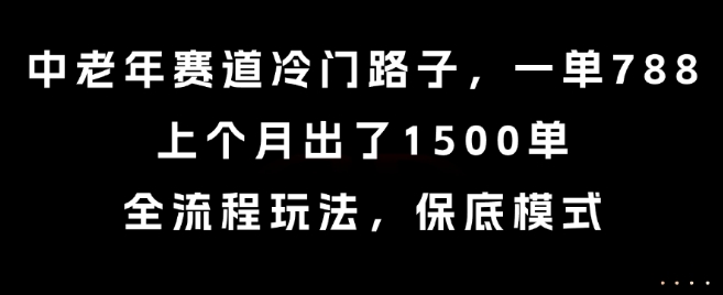 中老年赛道冷门路子，一单788，上个月出了1500单，全流程玩法，保底模式【揭秘】-米创网