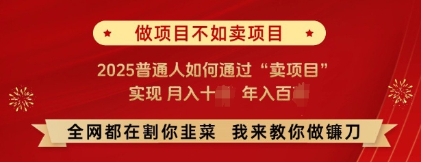 必看，做项目不如卖项目，2025普通人如何通过“卖项目”实现月入十个，年入百个-米创网