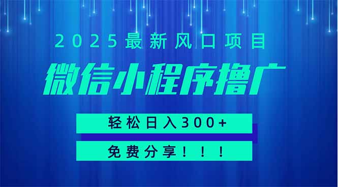 微信小程序撸广，最新风口项目，日入300+ 免费分享 可批量操作 小白可…-米创网