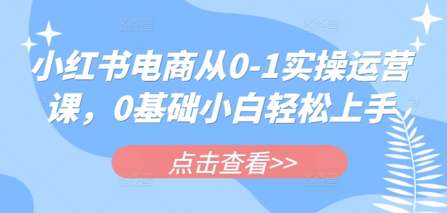 小红书电商从0-1实操运营课，0基础小白轻松上手-米创网
