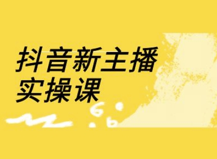 抖音新主播实操课，直播间流量运营线上实操课(18节)-米创网