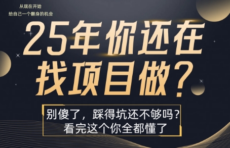 25年，你还在疯狂的找项目吗？别傻了，看完这个你都懂了【揭秘】-米创网