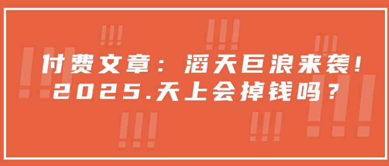 付费文章：滔天巨浪来袭！2025天上会掉钱吗？-米创网