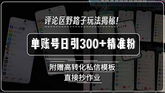 评论区野路子玩法揭秘！单账号日引300+精准粉，附赠高转化私信模板，直…-米创网