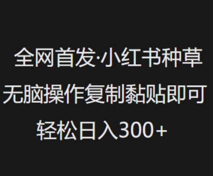 全网首发，小红书种草无脑操作，复制黏贴即可，轻松日入3张-米创网