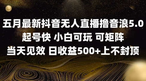 2025五月最新无人直播撸音浪单日产出5张+实操教程【揭秘】-米创网