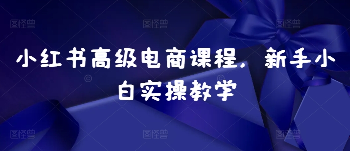 小红书高级电商课程，新手小白实操教学-米创网