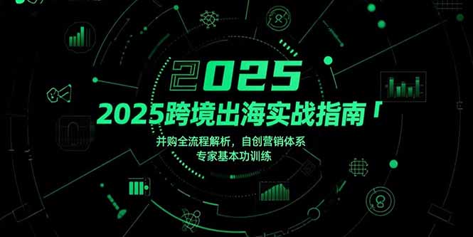 2025跨境出海实战指南，并购全流程解析，自创营销体系，专家基本功训练-米创网
