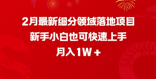 2月最新细分领域落地项目，新手小白也可快速上手，月入1W-米创网