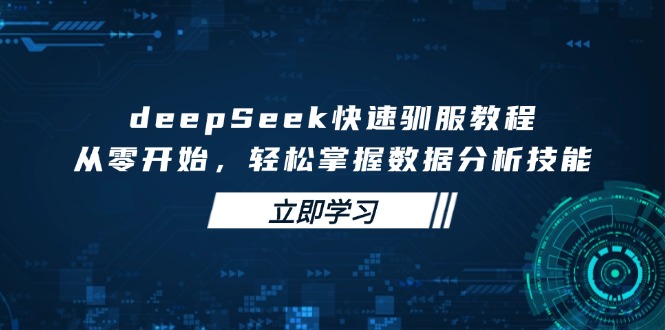 deepSeek快速驯服教程，从零开始，轻松掌握数据分析技能-米创网