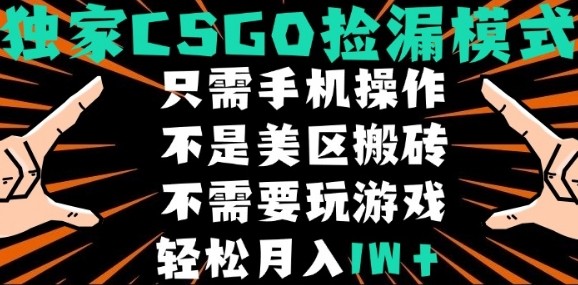CSGO自动捡漏项目，最新独家玩法，不是美区搬砖，不需要了解和玩游戏，新手小白轻松月入1W+【揭秘】-米创网