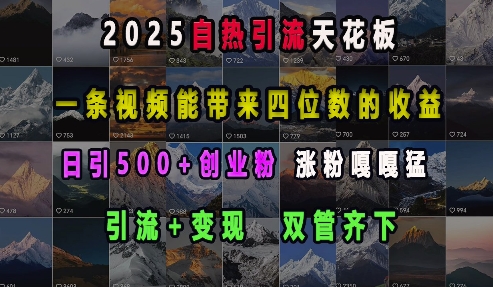 2025自热引流天花板，一条视频能带来四位数的收益，引流+变现双管齐下，日引500+创业粉，涨粉嘎嘎猛-米创网