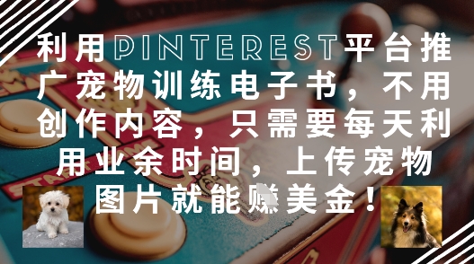 利用Pinterest平台推广宠物训练电子书，不用创作内容，只需要每天利用业余时间，上传宠物图片就能挣美金!-米创网