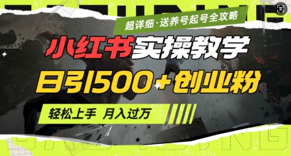 2月小红书最新日引500+创业粉实操教学【超详细】小白轻松上手，月入1W+，附小红书养号起号SOP-米创网
