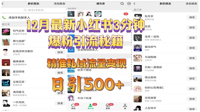 12月最新小红书3分钟爆粉引流秘籍 精准私域流量变现 日引500+-米创网